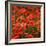 Poppies-Ruud Peters-Framed Photographic Print