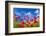 Poppies-Ale-ks-Framed Photographic Print