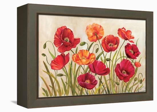 Poppies-Kimberly Poloson-Framed Stretched Canvas