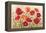 Poppies-Kimberly Poloson-Framed Stretched Canvas