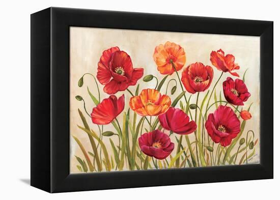 Poppies-Kimberly Poloson-Framed Stretched Canvas