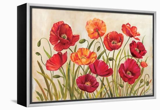 Poppies-Kimberly Poloson-Framed Stretched Canvas