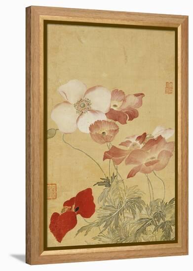 Poppies-Yun Shouping-Framed Premier Image Canvas