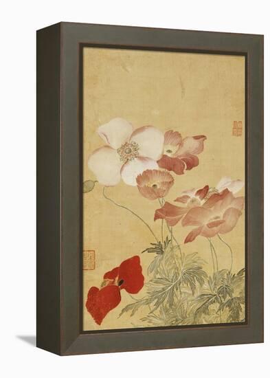 Poppies-Yun Shouping-Framed Premier Image Canvas