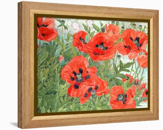 Poppies-Linda Benton-Framed Premier Image Canvas