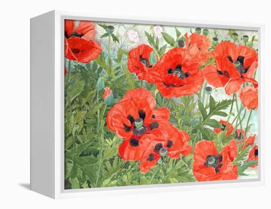 Poppies-Linda Benton-Framed Premier Image Canvas
