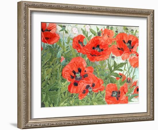 Poppies-Linda Benton-Framed Giclee Print