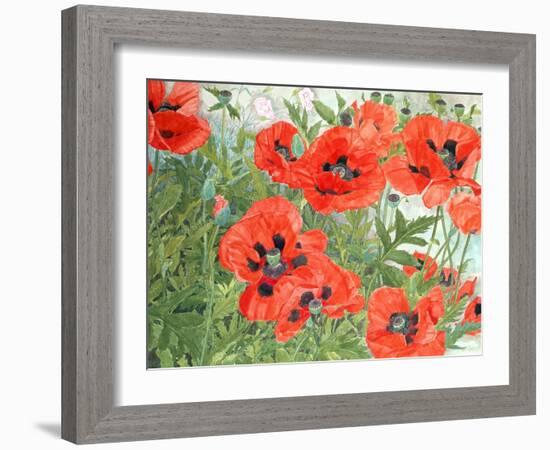 Poppies-Linda Benton-Framed Giclee Print