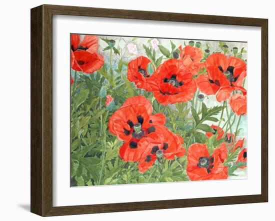 Poppies-Linda Benton-Framed Giclee Print