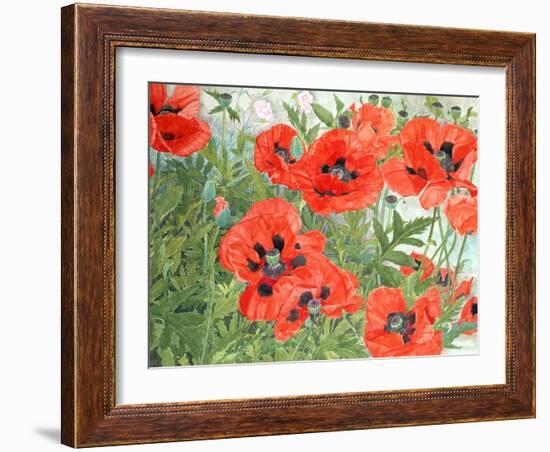 Poppies-Linda Benton-Framed Giclee Print