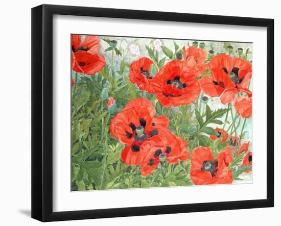 Poppies-Linda Benton-Framed Giclee Print