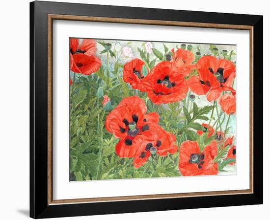 Poppies-Linda Benton-Framed Giclee Print