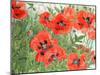Poppies-Linda Benton-Mounted Giclee Print
