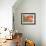 Poppies-Linda Benton-Framed Giclee Print displayed on a wall