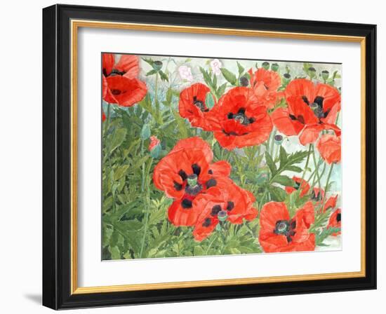 Poppies-Linda Benton-Framed Giclee Print
