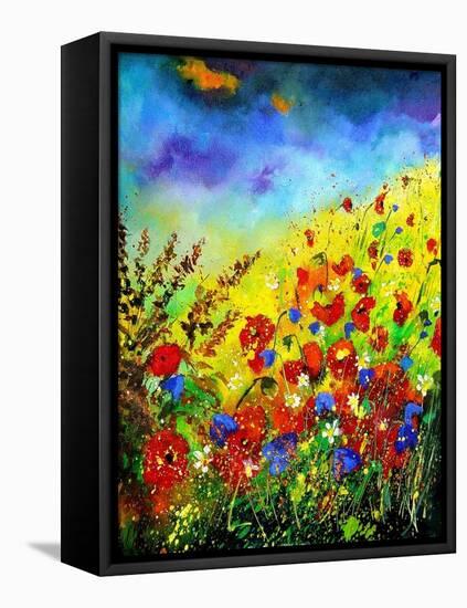 Poppies-Pol Ledent-Framed Stretched Canvas