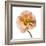 Poppy 16-Wiff Harmer-Framed Giclee Print