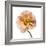 Poppy 16-Wiff Harmer-Framed Giclee Print