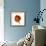 Poppy 20-Wiff Harmer-Framed Giclee Print displayed on a wall