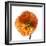 Poppy 23-Wiff Harmer-Framed Giclee Print