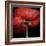 Poppy 9 - Red Icelandic Poppy-Doris Mitsch-Framed Photographic Print