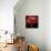 Poppy 9 - Red Icelandic Poppy-Doris Mitsch-Framed Premier Image Canvas displayed on a wall