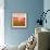 Poppy Acre-Joseph Eta-Framed Giclee Print displayed on a wall