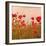 Poppy Acre-Joseph Eta-Framed Giclee Print