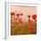 Poppy Acre-Joseph Eta-Framed Giclee Print