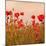 Poppy Acre-Joseph Eta-Mounted Giclee Print