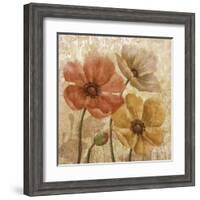 Poppy Allure I-Conrad Knutsen-Framed Art Print