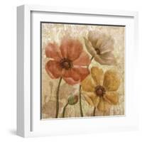 Poppy Allure I-Conrad Knutsen-Framed Art Print