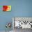 Poppy and Swirls-Jennifer Redstreake Geary-Premium Giclee Print displayed on a wall