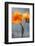 Poppy, Blossoms, Still Life-Axel Killian-Framed Photographic Print