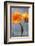 Poppy, Blossoms, Still Life-Axel Killian-Framed Photographic Print