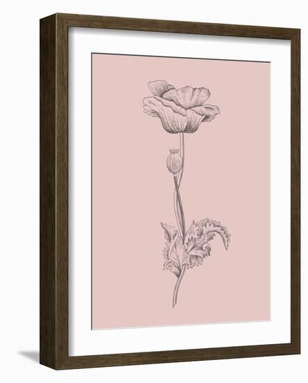 Poppy Blush Pink Flower-Jasmine Woods-Framed Art Print