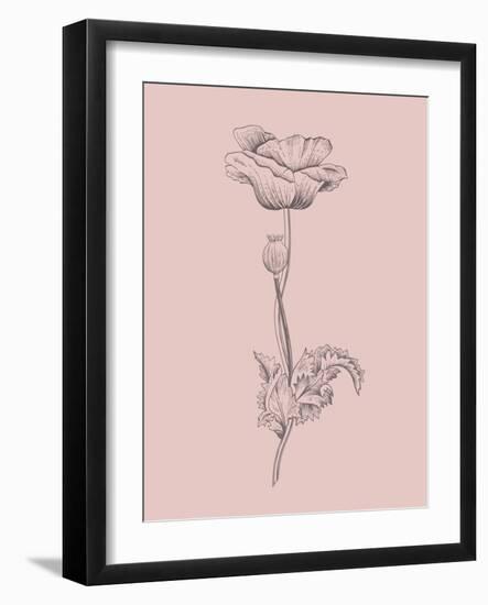 Poppy Blush Pink Flower-Jasmine Woods-Framed Art Print