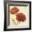 Poppy Bouquet I-Daphné B-Framed Art Print