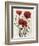 Poppy Bouquet I-Emma Scarvey-Framed Premium Giclee Print