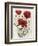 Poppy Bouquet I-Emma Scarvey-Framed Premium Giclee Print