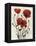 Poppy Bouquet I-Emma Scarvey-Framed Stretched Canvas