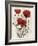 Poppy Bouquet I-Emma Scarvey-Framed Art Print