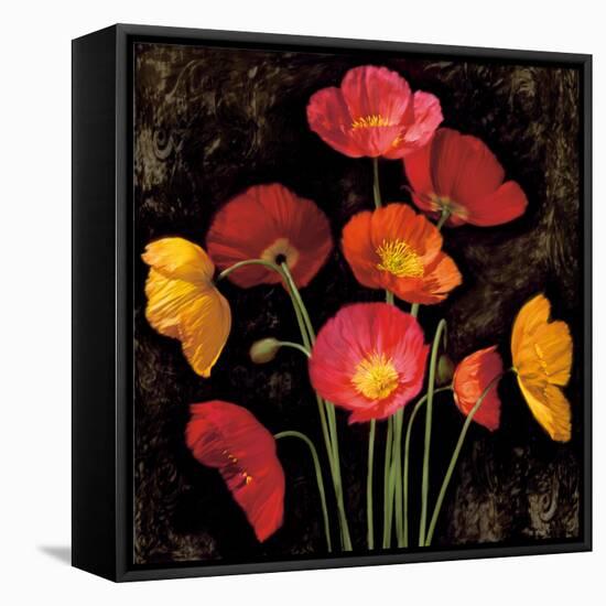 Poppy Bouquet I-John Seba-Framed Stretched Canvas
