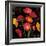 Poppy Bouquet I-John Seba-Framed Art Print