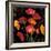 Poppy Bouquet I-John Seba-Framed Art Print