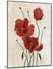 Poppy Bouquet II-Emma Scarvey-Mounted Art Print