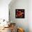 Poppy Bouquet II-John Seba-Framed Stretched Canvas displayed on a wall