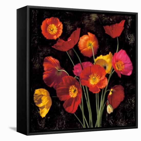 Poppy Bouquet II-John Seba-Framed Stretched Canvas