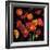 Poppy Bouquet II-John Seba-Framed Art Print