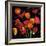 Poppy Bouquet II-John Seba-Framed Art Print